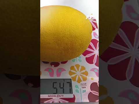 لزيادة إنتاجها أوبرالي يغني لشجرة الليمون