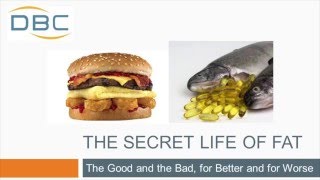 The Secret Life of Fat