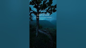 هو الذي أنزل السكينة في قلوب المؤمنين |  #عبدالرحمن_مسعد #قرآن #تلاوة #Quran #Islam #سورة_الفتح