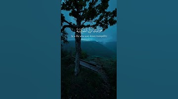 هو الذي أنزل السكينة في قلوب المؤمنين |  #عبدالرحمن_مسعد #قرآن #تلاوة #Quran #Islam #سورة_الفتح