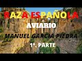 RAZA ESPAÑOLA, AVIARIO MANUEL GARCIA PIEDRA 1ª PARTE