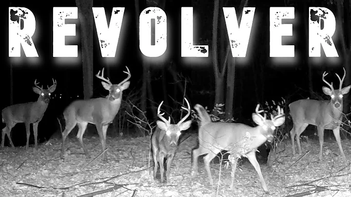 BUCK in EVERY Direction 360° Revolver Caught it ALL: Trail Cam Highlights 12.11.25
