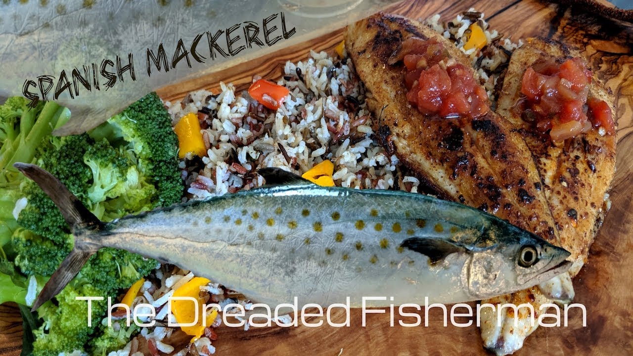 Catch and Cook Spanish Mackerel The Dreaded Fisherman YouTube