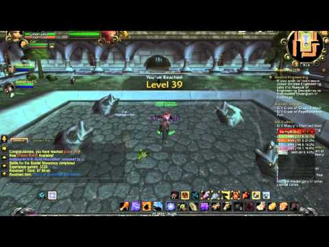 WoW Hunter Levels 1-85 Montage