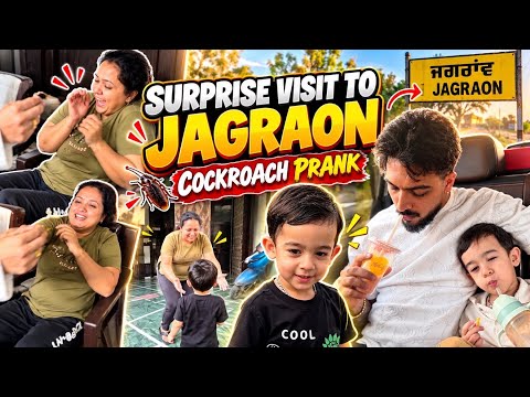 SURPRISE VISIT TO JAGRAON 🥹😱| COCKROACH PRANK WITH FAMILY 😂 | MR MRS NARULA