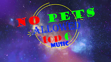 top 6 best music no pets allowed