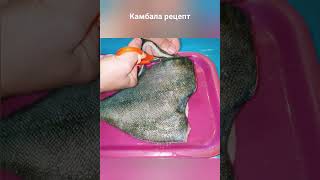 Камбала рецепт|Камбала жареная| Камбала смажена| Камбала как чистить|Камбала на сковороде #камбала