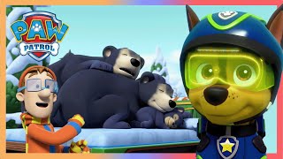 熊家族🐻不小心在鎮上睡著了!😪跟著汪汪一起將可愛的熊熊運回家 - PAW Patrol 汪汪隊立大功 - 兒童卡通