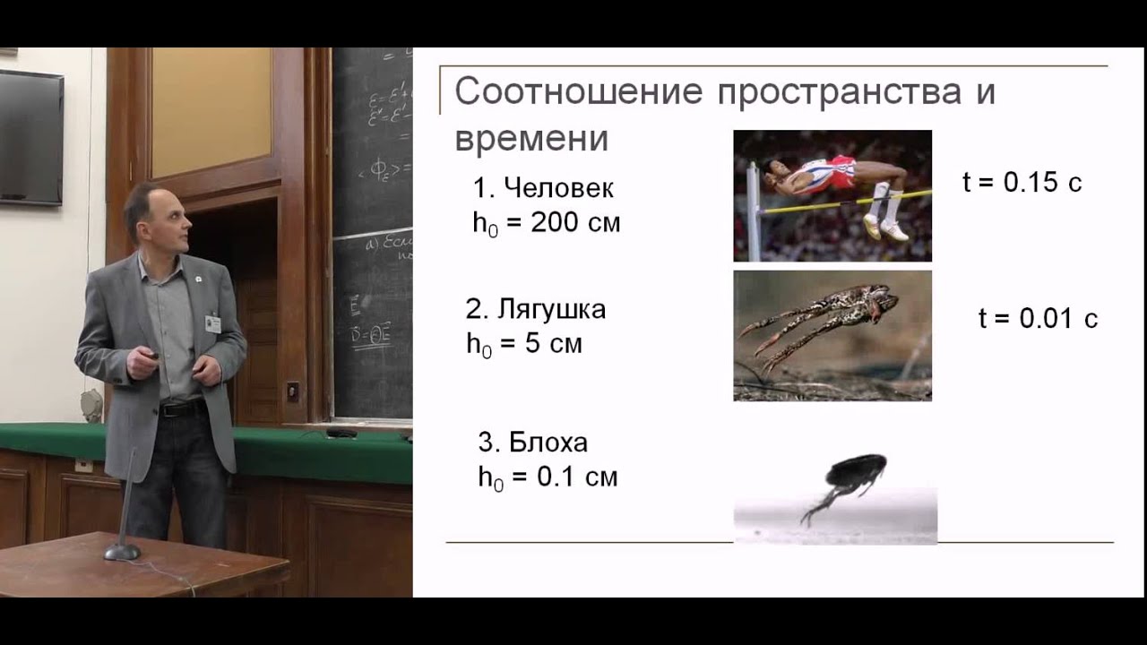 Общая теория лада