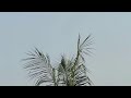 LIVE ELECTRONICA MIX; Music Inspired By Techno, House, Electro and Ambient; For Energy + Movement