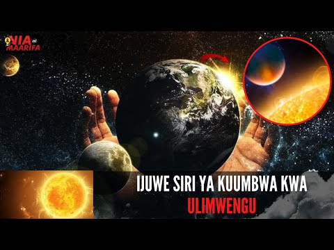 Video: Ni nini kilichosababisha Waaustralia kuacha wanyama wao wa kipenzi kwa huruma ya hatima