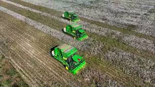 Large-scale cotton harvest begins in Manas County, Xinjiang