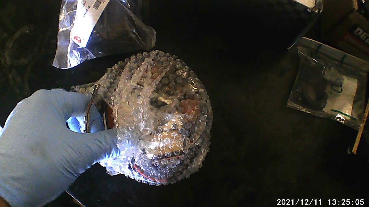 MOTORE PIAGGIO SI 75CC FULL PINASCO