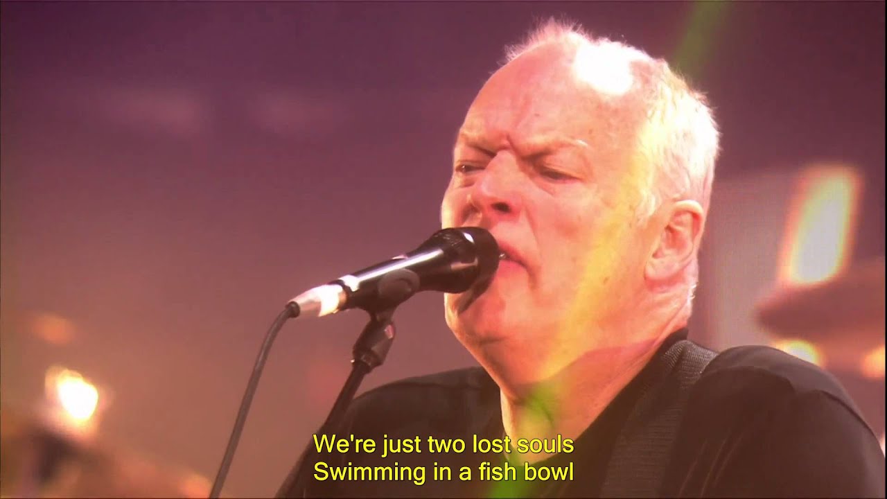 David Gilmour Wish You Were Here übersetzung David Gilmour - Wish You Were Here - subtlited (Live) HD - YouTube