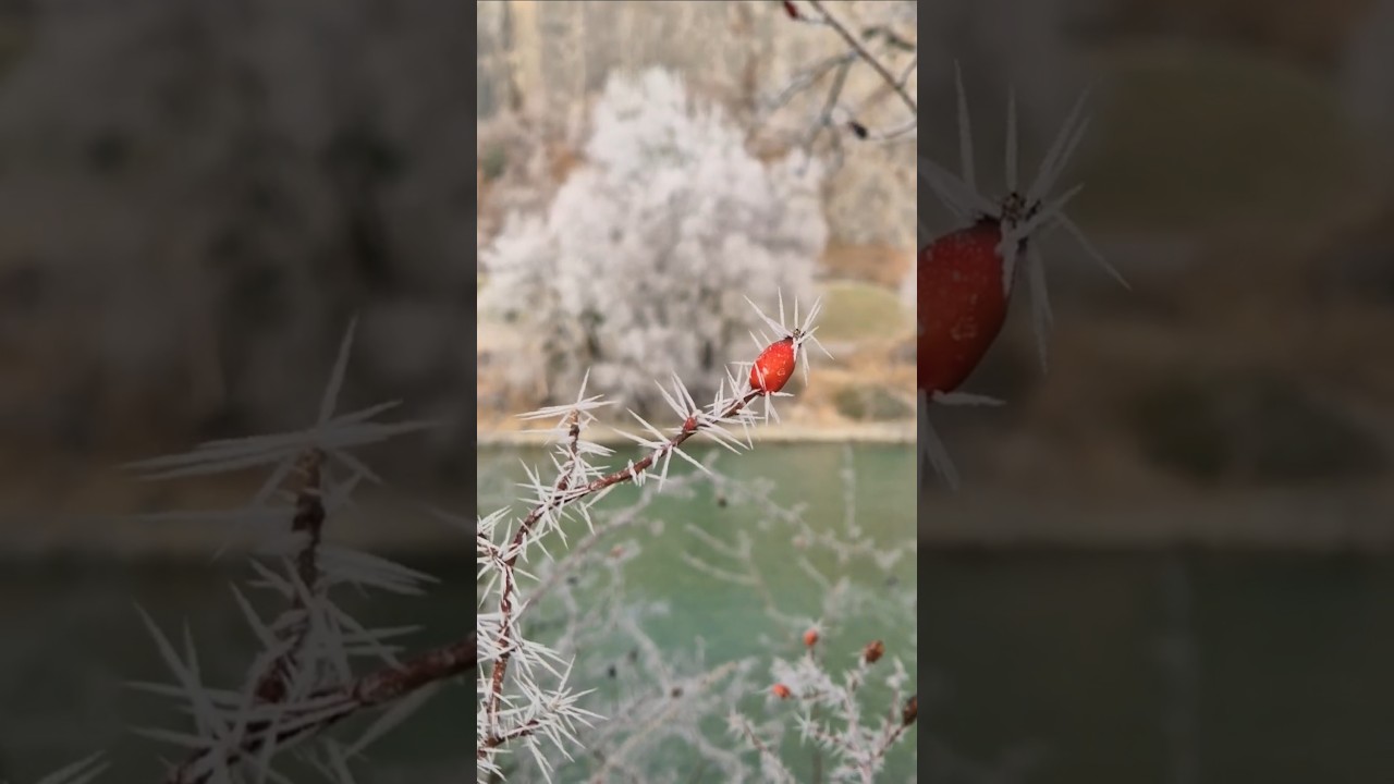 Зима в Швейцарии 