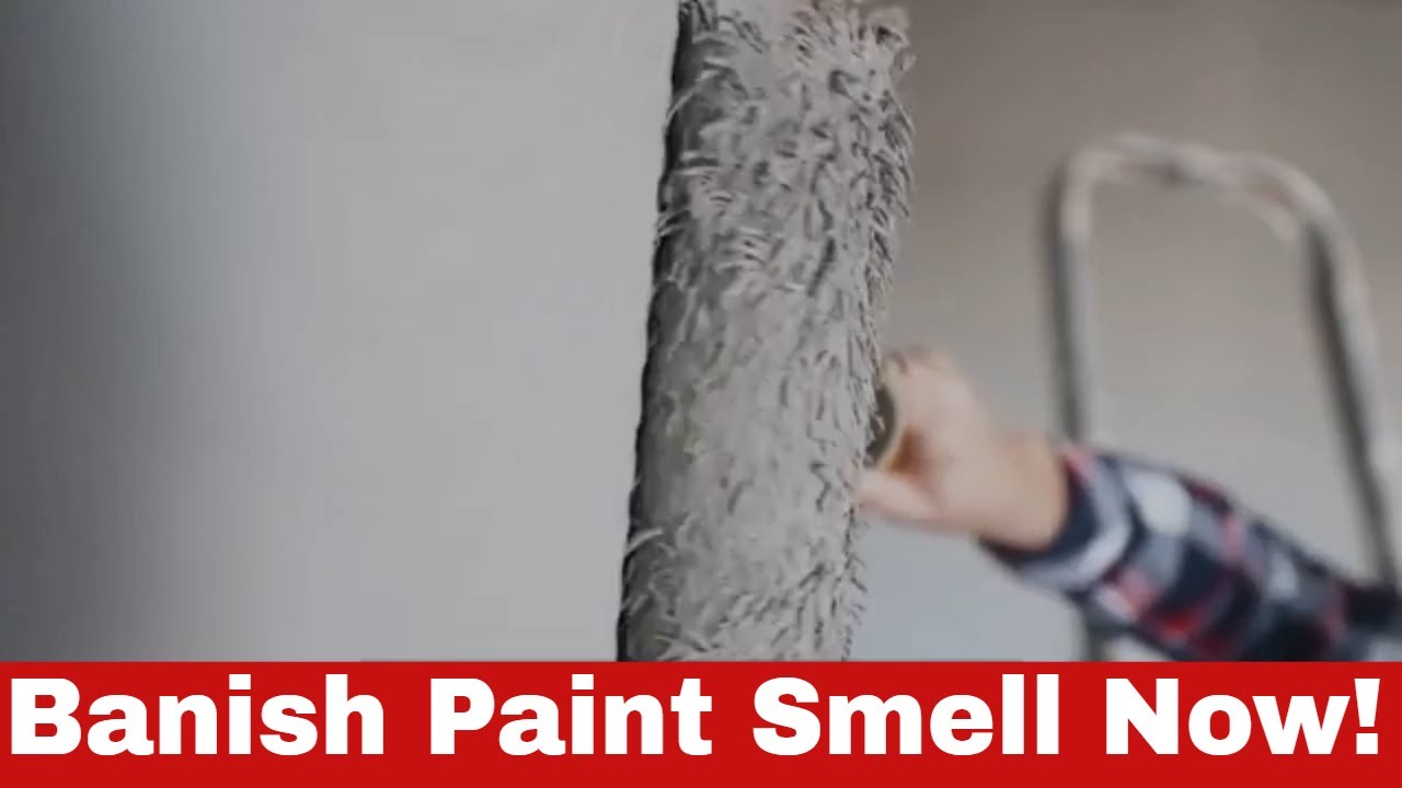 How To Get Rid Of Paint Smell Genius Hacks You Need To Know YouTube