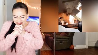Try Not To Laugh | Instant Regret Compilation 8 - REACTION! 🤣
