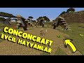 CONCONCRAFT EVCİL HAYVAN BARINAĞI!