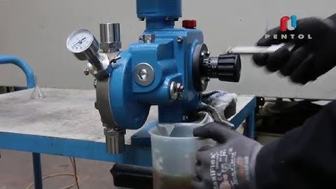 Service tutorial for lewa pumps. Part of a dosing unit from Pentol