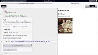 study with me! freeCodeCampやります #5