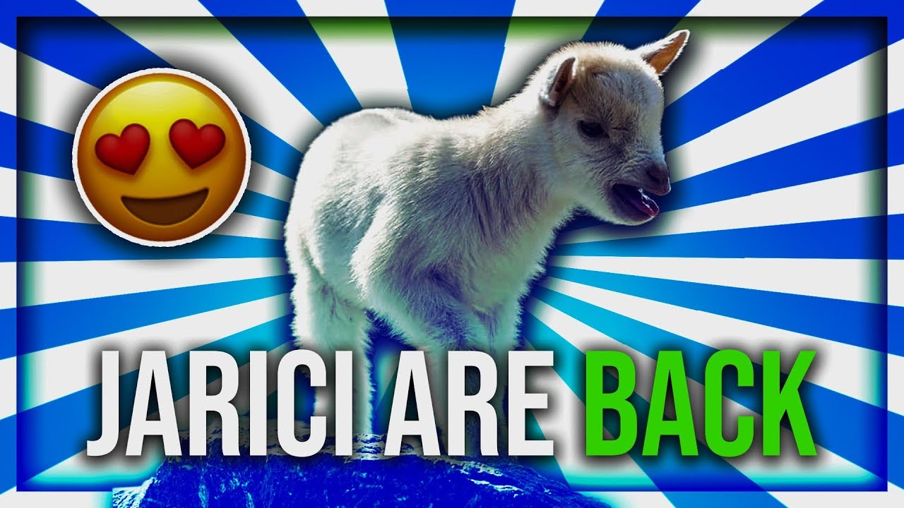 JARICI SU SE VRATILI ! Rocket League w/Cale,Sanee