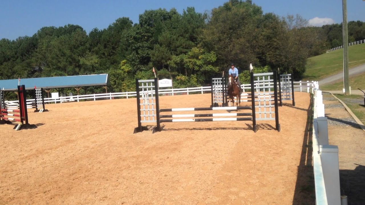 Sundance OTTB for sale, jumpers at Lexington TB Celebration YouTube