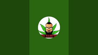 HASH HOLE WIT BIG SANCHO?