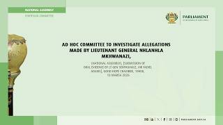 Ad Hoc Committee to Investigate Allegations made by Lt General Mkhwanazi Part 2 , 10 March 2026