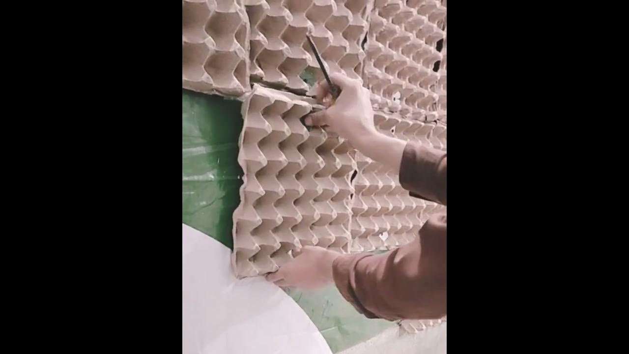 very cheap soundproofing with egg 🥚 trays amazing 😍 YouTube