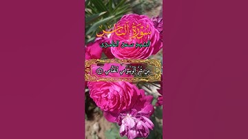 الشيخ سعد الغامدي سورة الناس #pubgmobile #picsart اجمل استوريات القران الكريم اجمل حالات واتساب