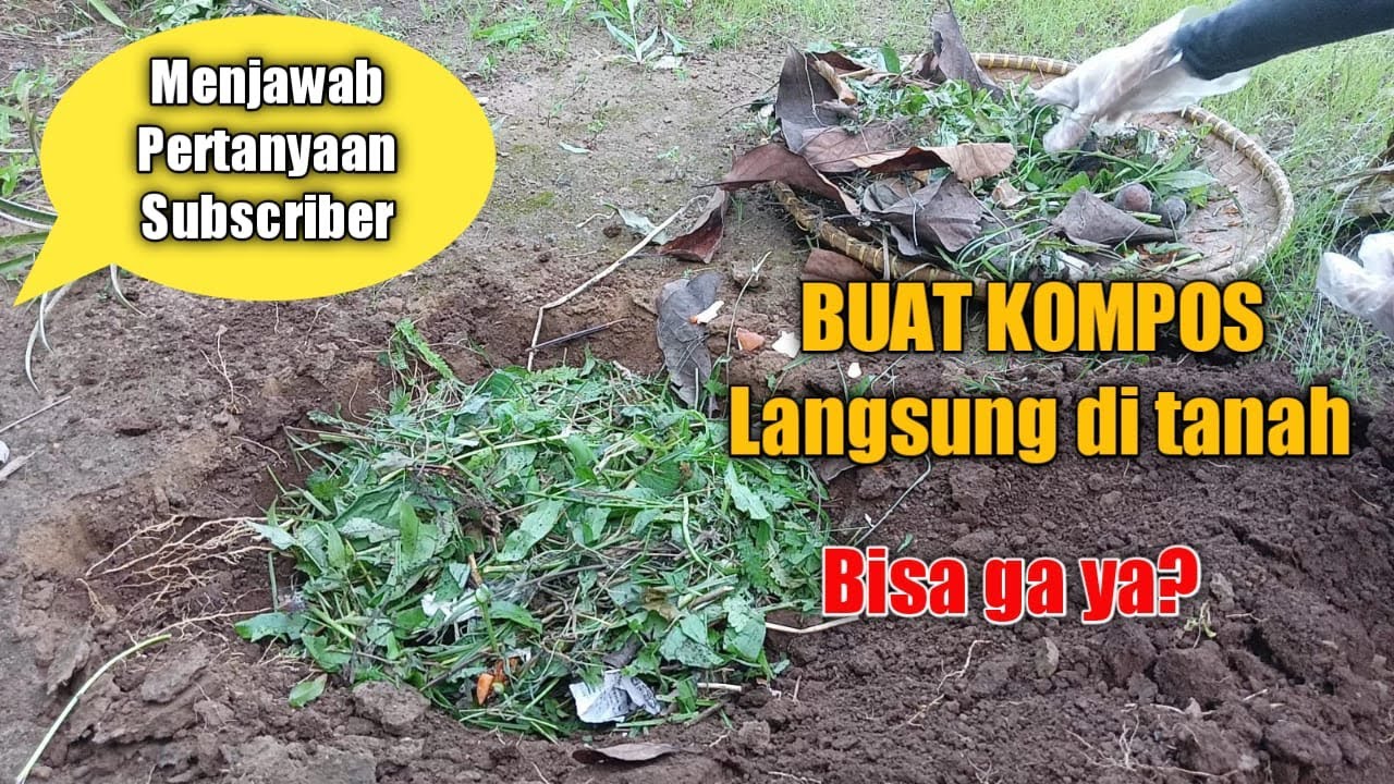 Membuat kompos langsung di tanah || buat media tanam langsung di tanah #kompost  #mengompos
