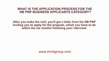 What is the application process for the NB PNP Business Applicants category?