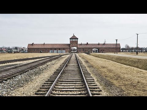 Die Geschichte von Auschwitz  Doku Deutsch