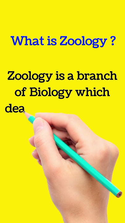 What Is Zoology Definition Of Zoology Zoology Definition Easy what-is-zoology-definition-of-zoology-zoology-definition-easy