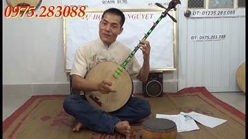 DẠY ĐÀN NGUYỆT p4.5 bai 8.9 CHO NGƯỜI DỐT CỰC DỐT CƠ BẢN 1