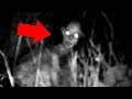 5 Mysterious Creatures Caught On Camera : Top 5 STRANGE Creatures