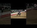 Turno 69 - Andrés Ayala. LATINO AMERICANO DE COLEO EDICION 2026 / Dia 1 #kalutv