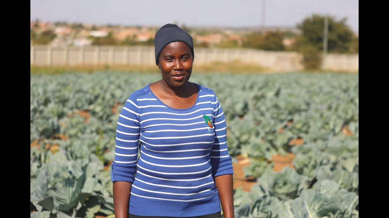 Tomato Farmer Dorah Matheba
