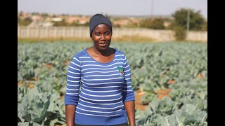 Tomato Farmer Dorah Matheba