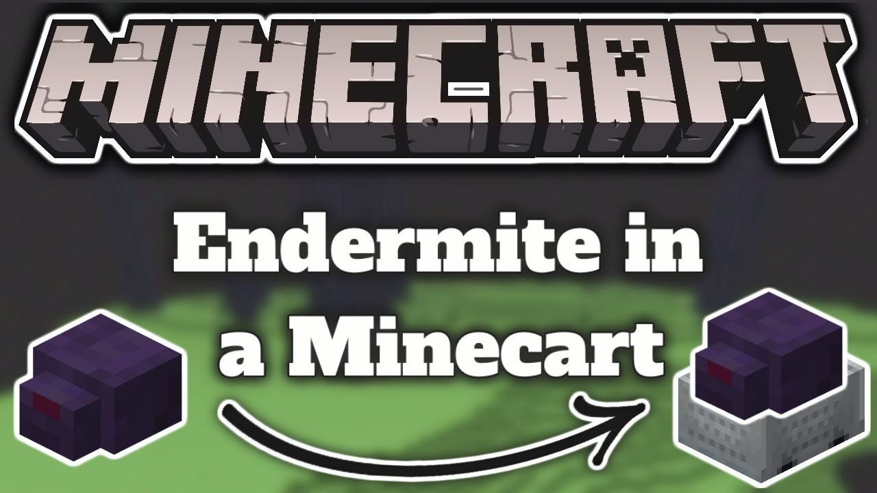 How to Trap an Endermite in a Minecart 1.17 + 