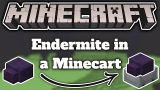 How to Trap an Endermite in a Minecart 1.17 +