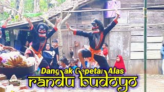 Kiprah Dangsak Cepetan  Randu Budoyo Dk Perkutukan