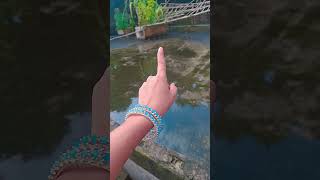 Download Lagu dil hae dil,,dil❤️ heee e mera❤️#sortvedios #handdance #subscrive #mychannel🙏 MP3