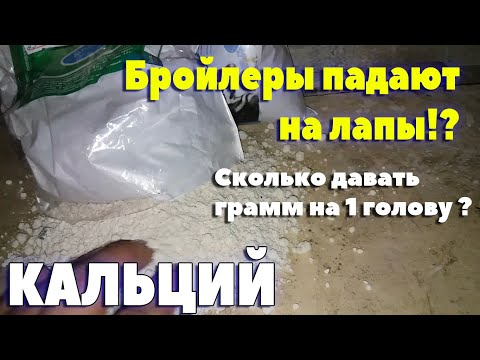 Бройлеры падают на ноги что делать / Кальций!