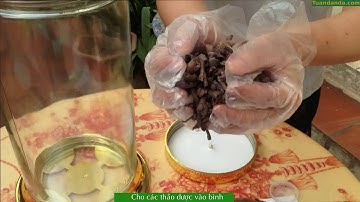 Bình rượu bổ thận tráng dương kinh điển