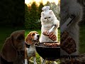 The Most Serious BBQ Chef You’ve Ever Seen! 🐈‍⬛🔥