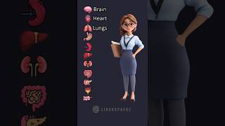Human Body Internal Organs - English Vocabulary Human Body Internal Organs - English Vocabulary