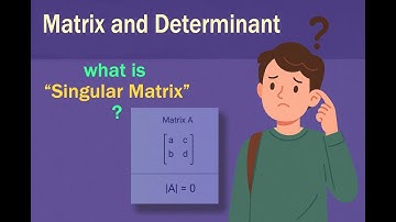 What is Singular Matrix? | Class 12 Maths | Applied Math | NCERT solution #maths