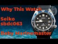 Seiko SBDC063 - Baby Marinemaster: Why this Not So Obvious Watch