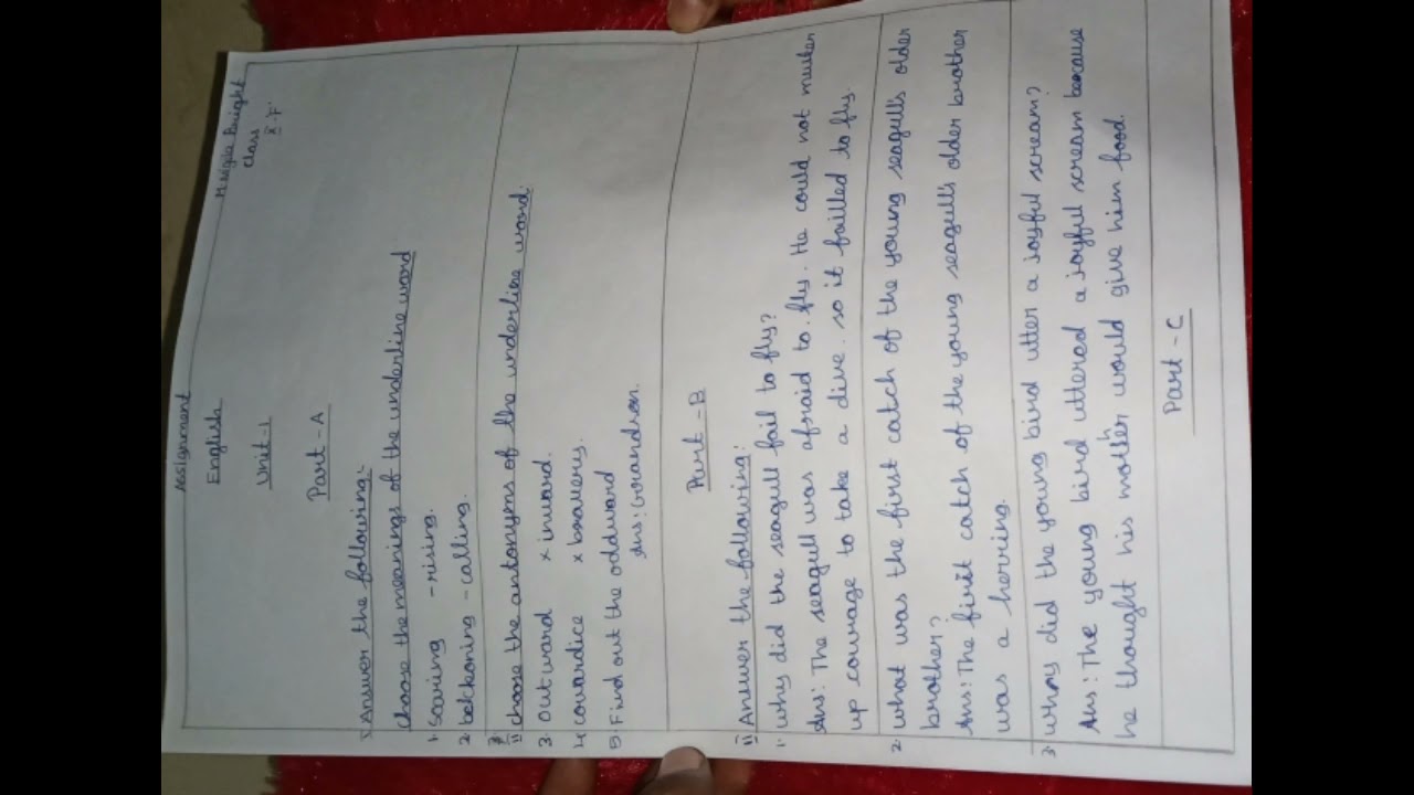 10th English  assignment -August  Month assignment 1  / kalvi TV /